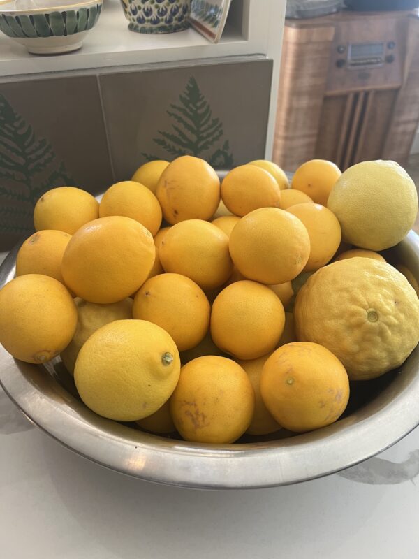 Lemons