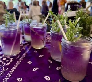 Lavender Cocktails